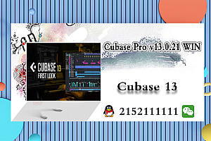 【Cubase 13】Steinberg Cubase Pro v13.0.21 x64-R2R WIN