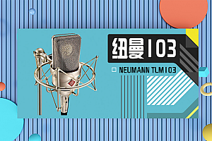 NEUMANN 诺音曼 TLM103 专业录音电容麦克风主播直播话筒德国进口 TLM103