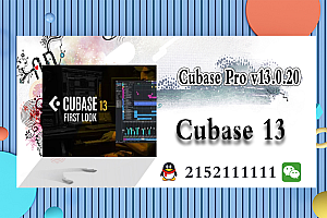 【Cubase 13】Steinberg Cubase Pro v13.0.20 WIN