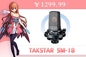 得胜(TAKSTAR) SM-18麦克风专业录音棚定制电台话筒唱歌声卡手机电脑通用快手全民k歌话筒 官方标配 –