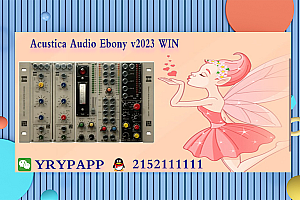 Acustica Audio Ebony v2023 WIN VST VST3 AAX