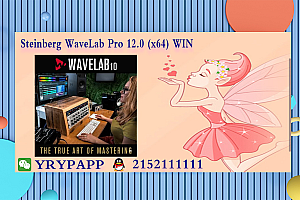 Steinberg WaveLab Pro 12.0 (x64) WIN  VST VST3 AAX