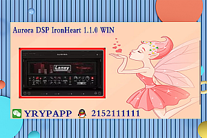 吉他箱 – Aurora DSP IronHeart 1.1.0 WIN VST VST3 AAX