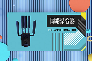 网络聚合GATHER3DY-100 聚合络路由器